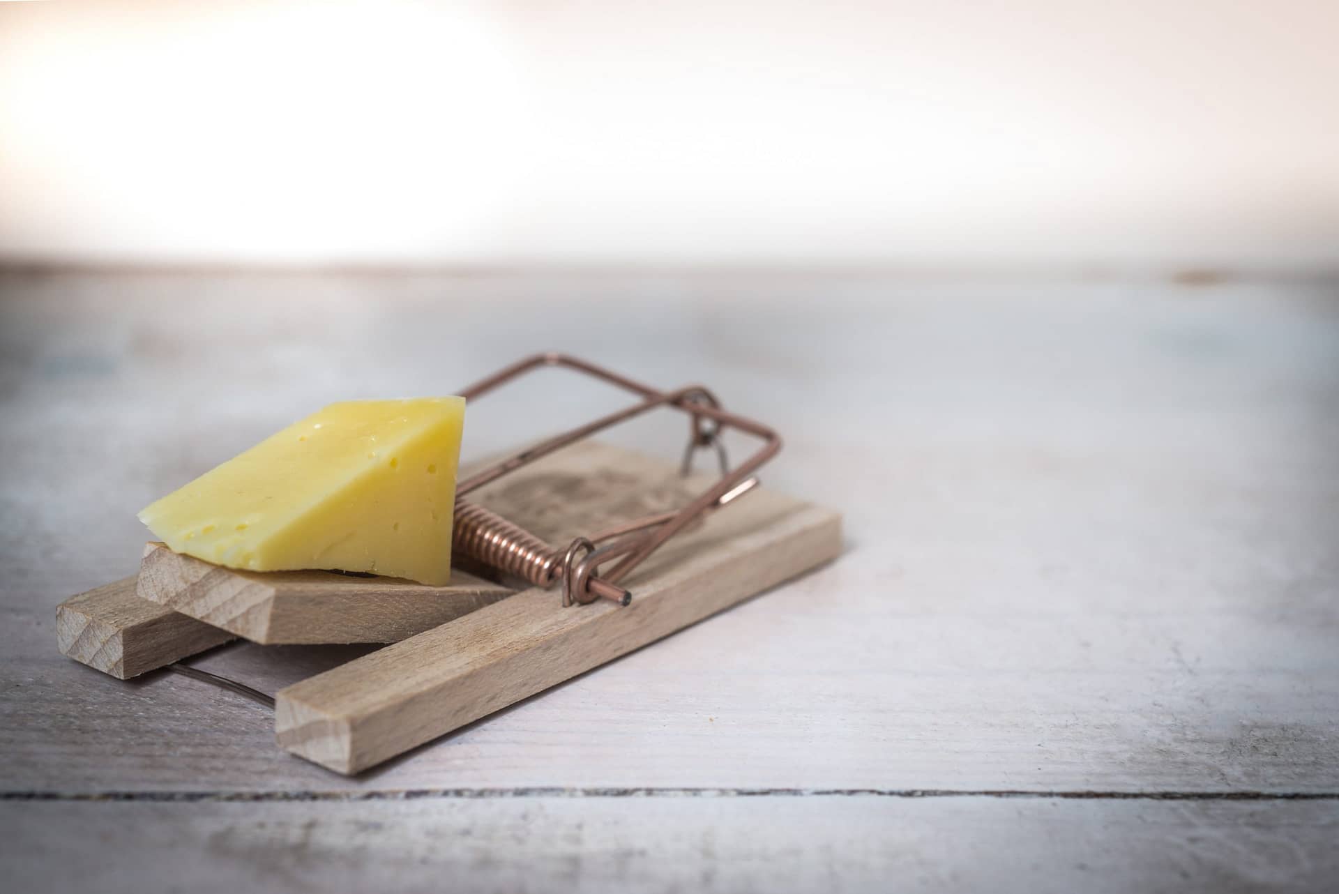 brown-wooden-mouse-trap-with-cheese-bait-on-top-633881